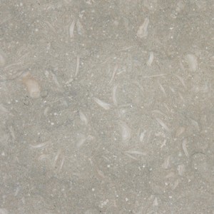 18x18 Seagrass Polished Limestone Tile